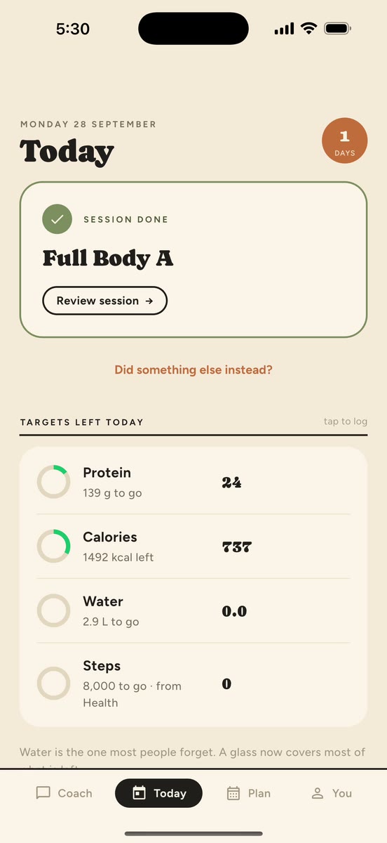 FittyBitty Today screen with targets left for the day